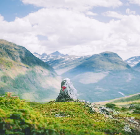 rød t i vakkert fjellandskap