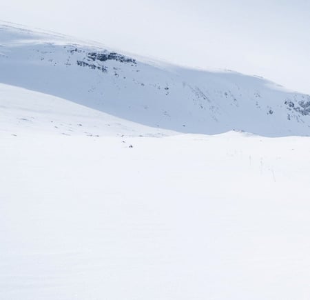 skigåere i snødekt landsskap