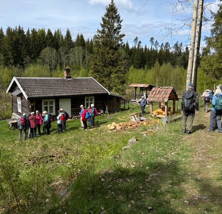 Onsdagsgruppa