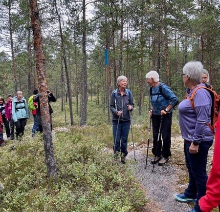 Gruppe med eldre mennesker på tur i regnvær