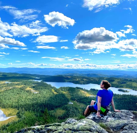 Utsikt fra knausen vest for branntårnet.