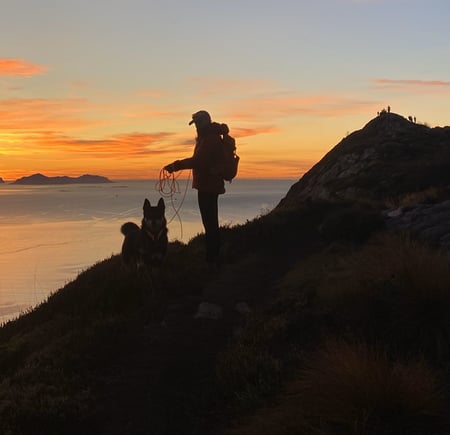 Person i solnedgang med hund