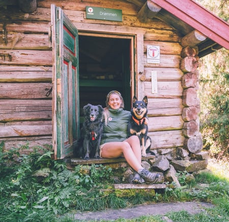 Hund foran hytte i skogen