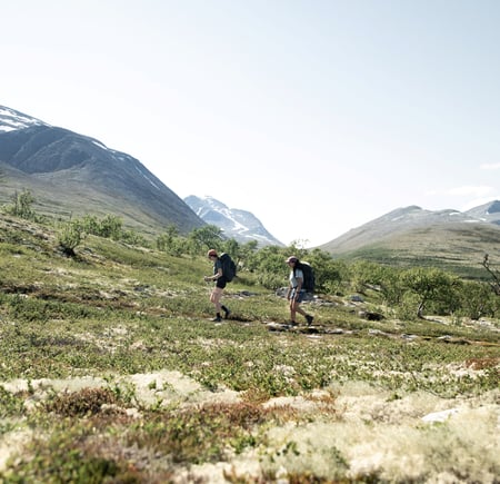fra ny stueåpning på bjørnholia