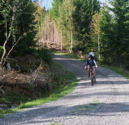 Fisketur med vennegjeng til Katnosdammen, Nordmarka.