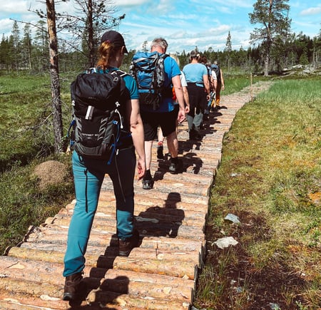 Historisk Vandrerute - Malmveien. Tatt med Iphone. 
På ruta mellom Langen og Fjølburøsta.