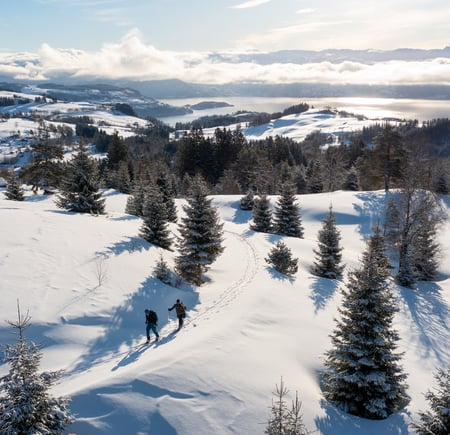 Tur til Torefjell i Kvam, 15. mars 2023.