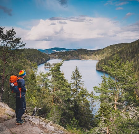 Mann ser utover skogsvann