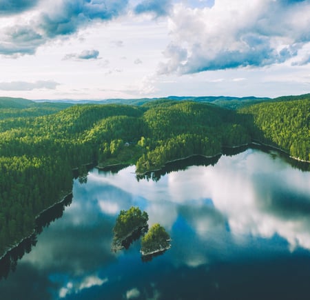 Skogsområde og skogsvann sett fra lufta.