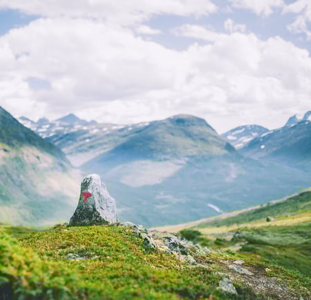 rød t i vakkert fjellandskap