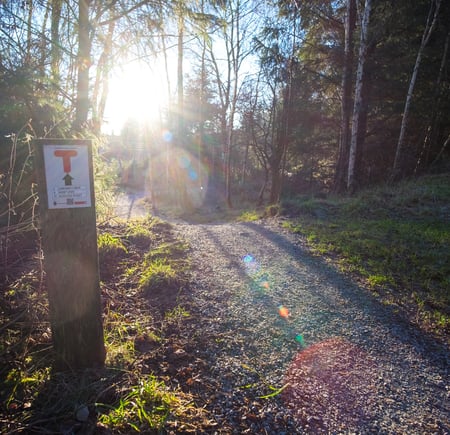 Solen skinner ned mot en tursti. Lang stien står den en stople som er merket med rød T, på hvitt skilt. 