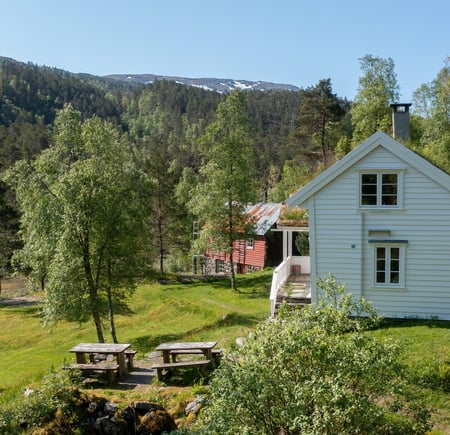 Træet gård, juni 2023.