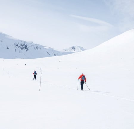 skigåere i snødekt landsskap
