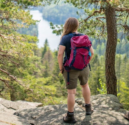 Topptur til Tonekollen i Østmarka