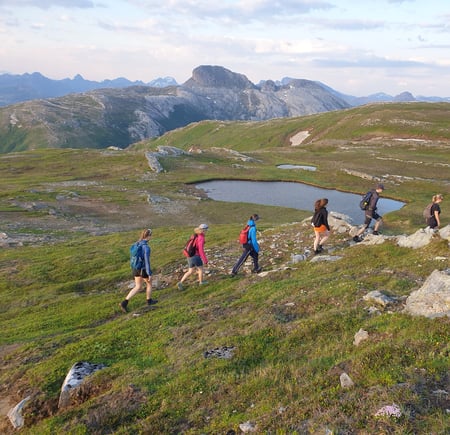 Et turfølge som er på vei ned fra Skautuva. Grønt gress og fjellutsikt.