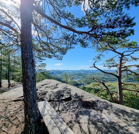 Utsikt fra en topp, med sol og trær