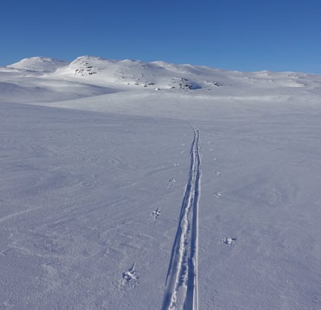 Bilder fra fjell innover til Såtahjallane