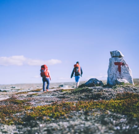 Hardangervidda. Sandhaug og Rauhelleren. 
