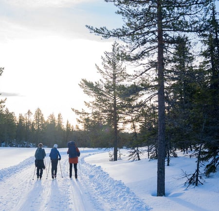 Hovlandshytta. DNT Drammen. Ny hytte.