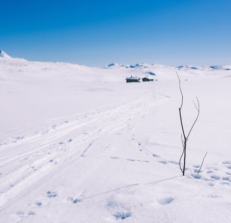 Vintertur over Hardangervidda. Bildene er fra etappen mellom Kalhovd, Helberghytta og Rjukan.