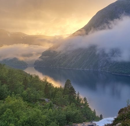 Reindalseter sommer 2024