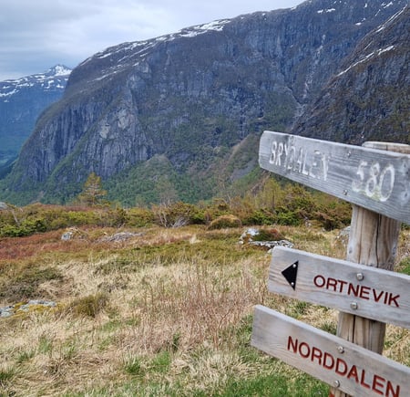 Brydalseter opp fra Ortnevik - vår 2023