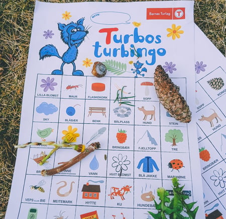 Turbos turbingo