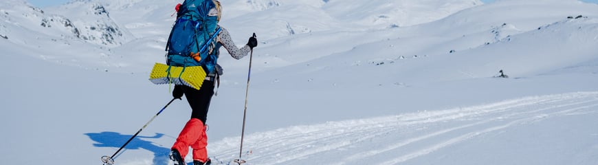 Rundtur Jotunheimen vest, Fondsbu - Olavsbu - Skogadalsbøen - Fondsbu