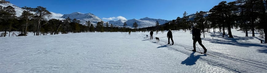Trollheimshytta i påsken 2023, bilder tatt av betjeningen.