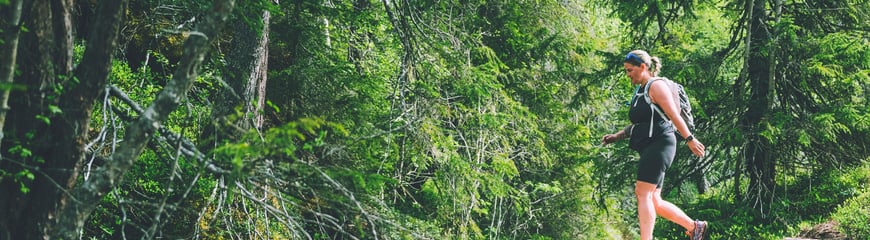 Topp 7 i Bymarka utenfor Trondheim. 