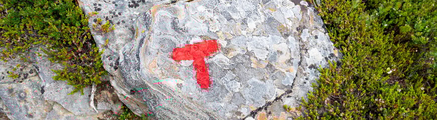 Tur til Kjølihytta sommer 2023.