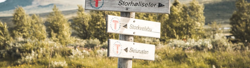 Storhøliseter 

En hytte på Omveien - den nye langruta fra Lillehammer i øst til Sognefjorden i vest, en rute hvor man krysser Fjell-Norge på tvers og får oppleve det mest spektakulære landet har å by på.