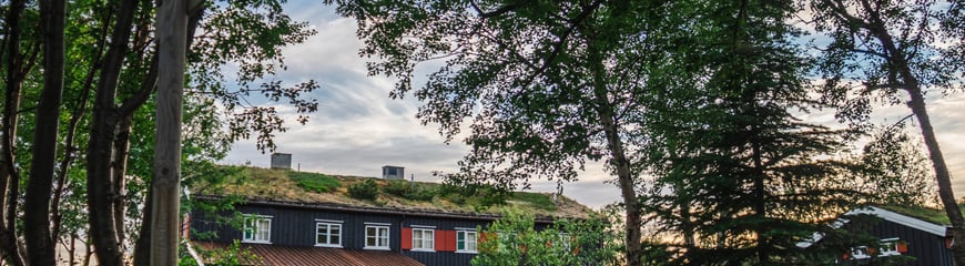 Nedalshytta juni 2022.