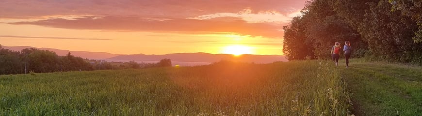 Tatt på vei ned fra Bosbergheia i Bymarka, Trondheim, på vei bortover mot Bosbergaunet parkering på Rye, Byneset