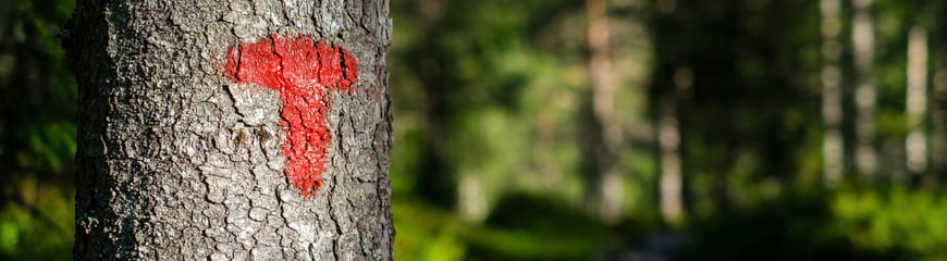 Bilder frå kveldstur til Roset på Voss, august 2022. Solnedgang, rød T, illustrasjonsbilde.