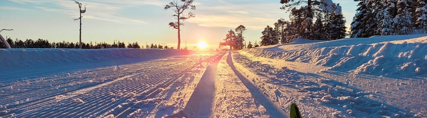 Skiløyper i Trondheimsområdet.