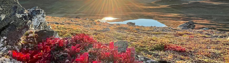 Høst i Trollheimen