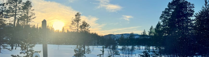 Vinter 23 i Bymarka i Trondheim.