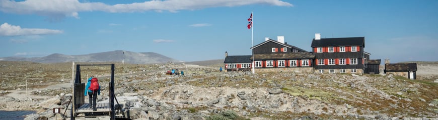 Bilder fra fjellferie 2019. 