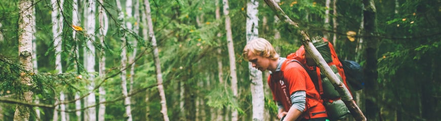 Høstferie gjennom tåken i Oslomarka i 2018. 