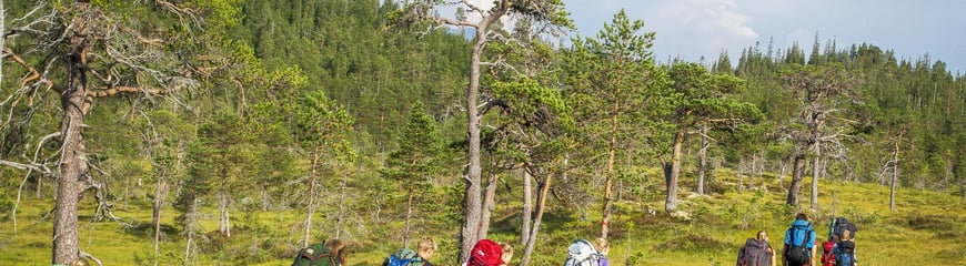 Norge på Tvers med DNTung Trøndelag 2014