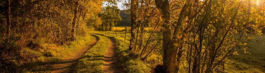 [Fosen,Norge] veien til noe spennende