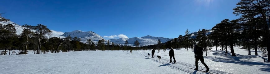 Trollheimshytta i påsken 2023, bilder tatt av betjeningen.