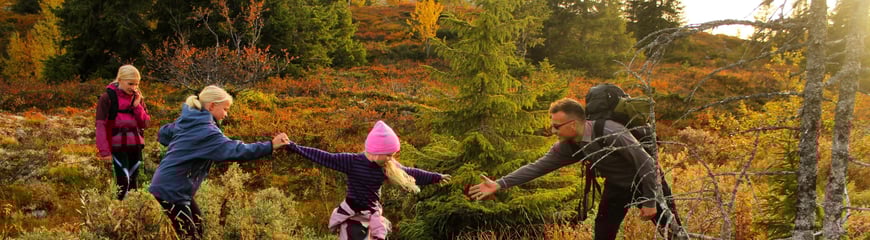 Bildet er fra Melleheimen i Høstferien. Vi er  på vei ned etter topptur til Skarvemellen.