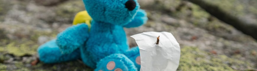 Høstferie med aktivtetsledere fra Barnas Turlag på Finsehytta