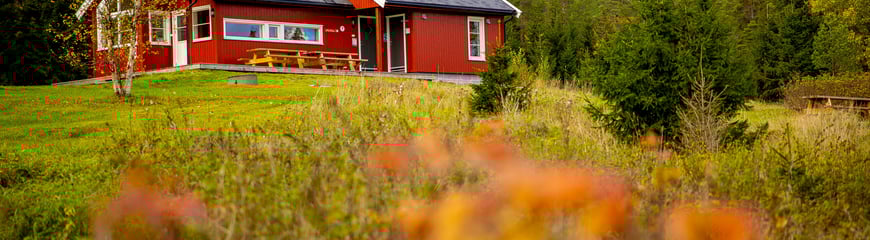 Østtorphytta