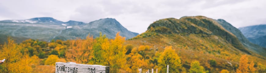 Tur til Knutshøe, høsten 2021.