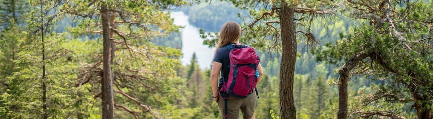 Topptur til Tonekollen i Østmarka