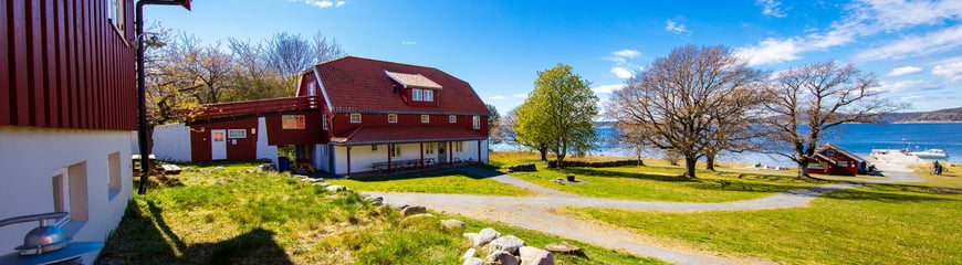 Blå himmel, grønt grass og boliger malt i rødt.