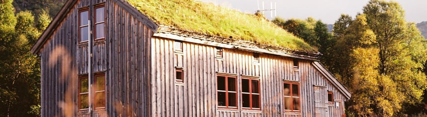 Bleskestadmoen - høst 2023 - analoge bilder.